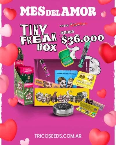 Tiny Freak Box - Lion Rolling Circus