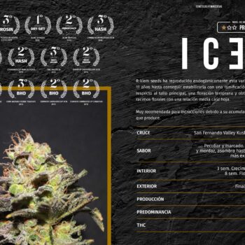 Icer x3 - Rkiem