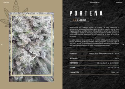 Porteña Auto x1 - Rkiem