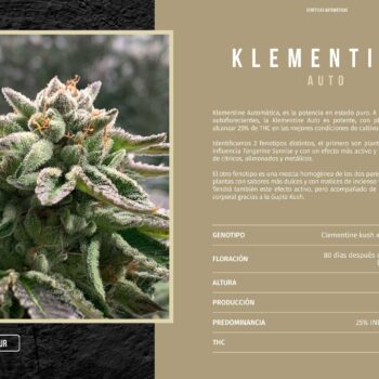 Klemetine Auto x1 - Rkiem